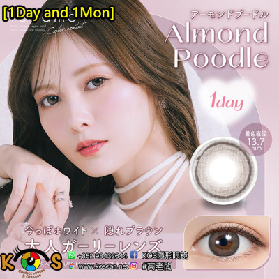 [1Day and 1Month]feliamo Almond Poodle フェリアモ アーモンドプードル